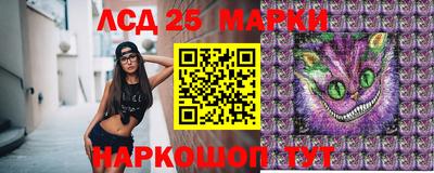 мет Можга