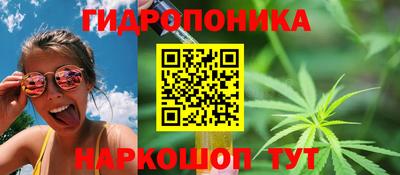 спиды Моздок