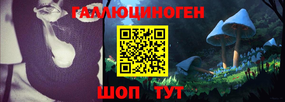 Галлюциногенные грибы Psilocybine cubensis Нягань