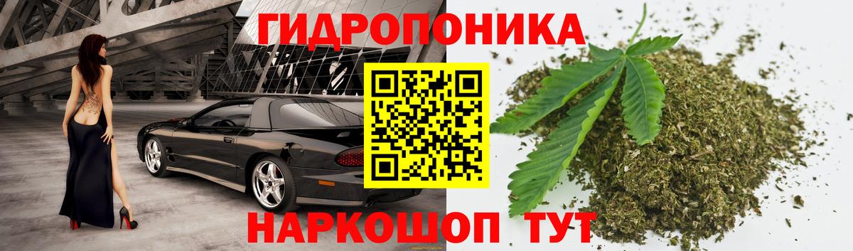 Канабис план  Бошки марихуана ГИДРОПОН  Нягань  Вход с VPN  Бошки марихуана THC 21% 